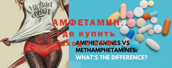 мдпв Бородино