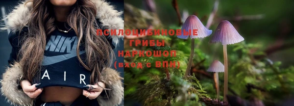 мдпв Бородино