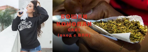 индика Бронницы