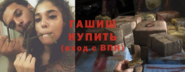 индика Бронницы
