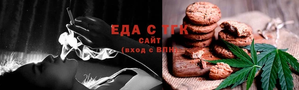 индика Бронницы
