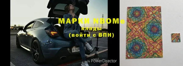 мдпв Бородино