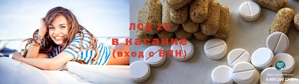индика Бронницы