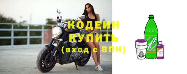 мдпв Бородино