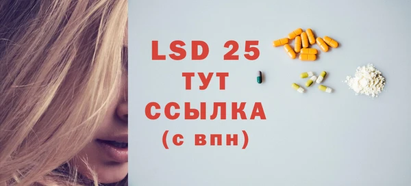 индика Бронницы