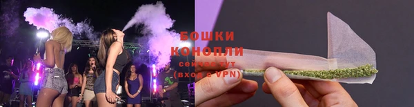 мдпв Бородино