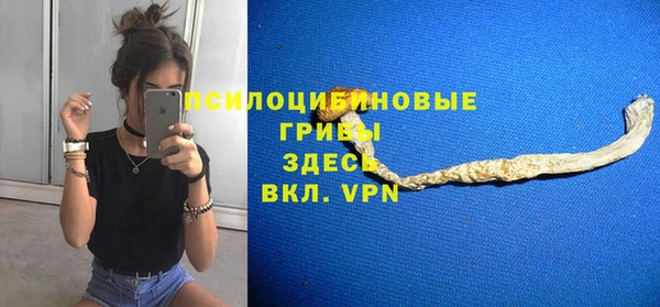 индика Бронницы