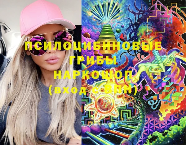 мдпв Бородино