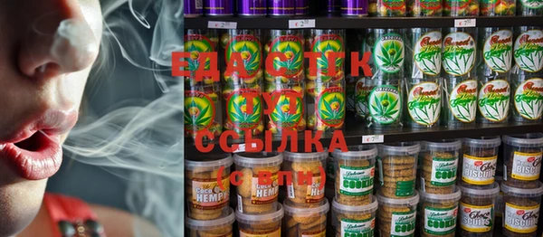 индика Бронницы
