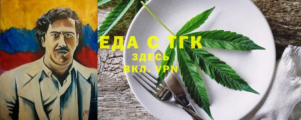 индика Бронницы