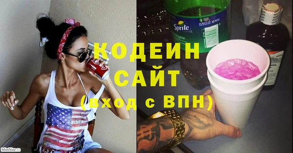 мдпв Бородино