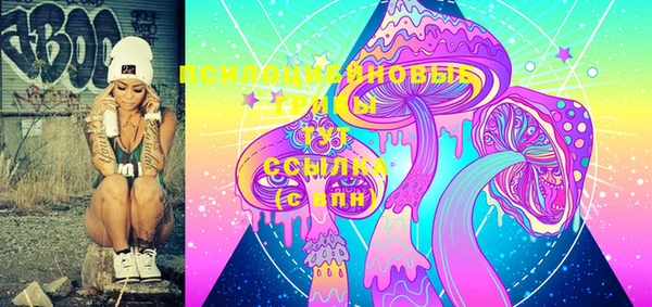 индика Бронницы