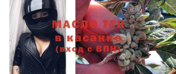 мдпв Бородино