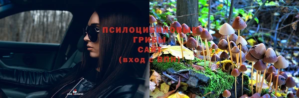 тгк Бугульма