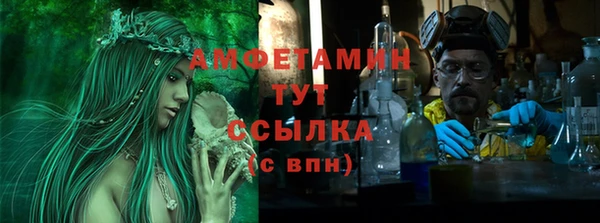 индика Бронницы