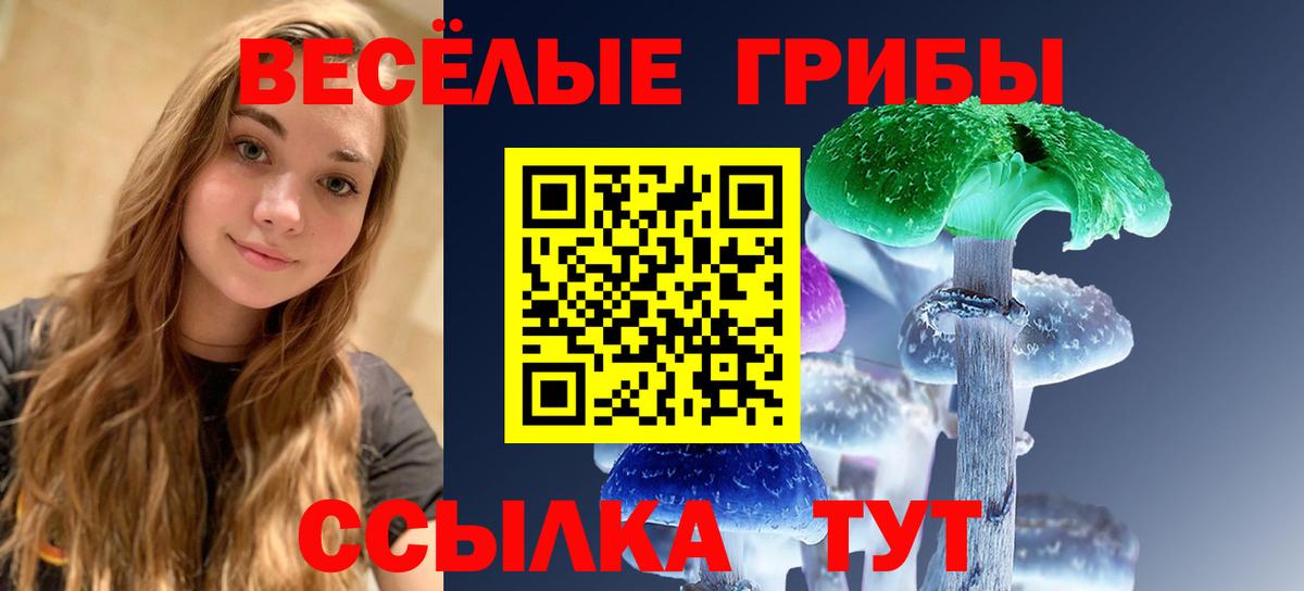 Псилоцибиновые грибы мухоморы Вичуга