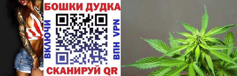 Каннабис MAZAR Вичуга